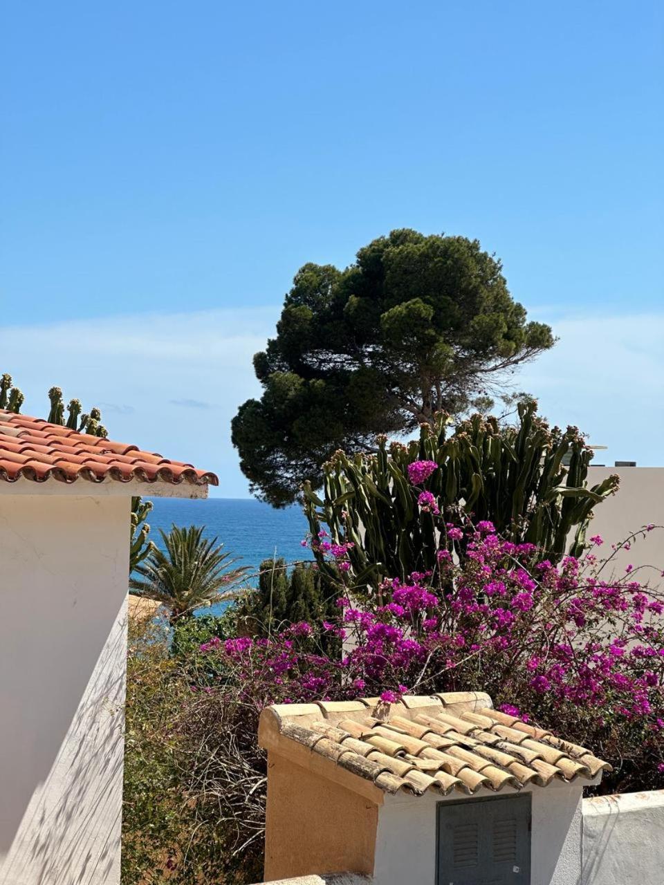 Fabiola Appartement
